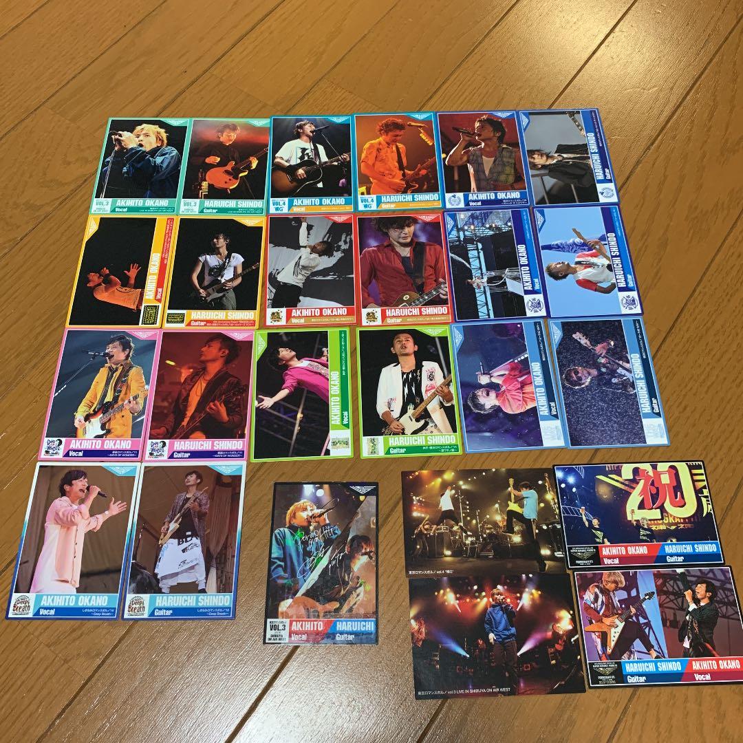 ポルノグラフィティチップス カード