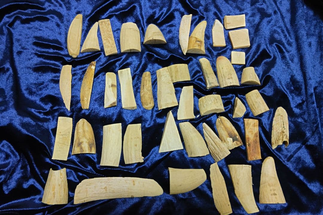 本場ハリウッドユニバーサルスタジオ25年前のパンフレット希少