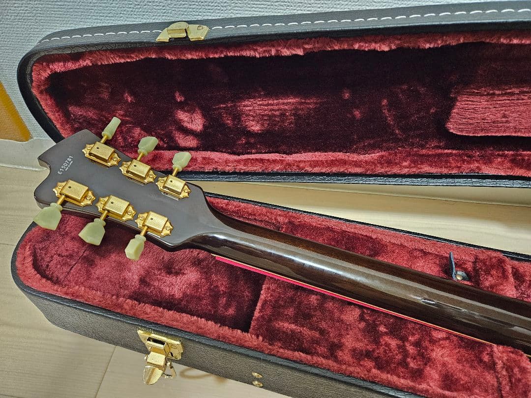 ギター FUJIGEN EFL