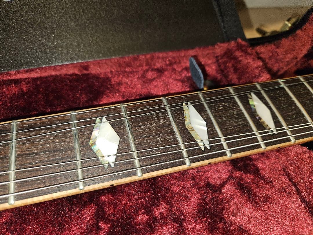 ギター FUJIGEN EFL