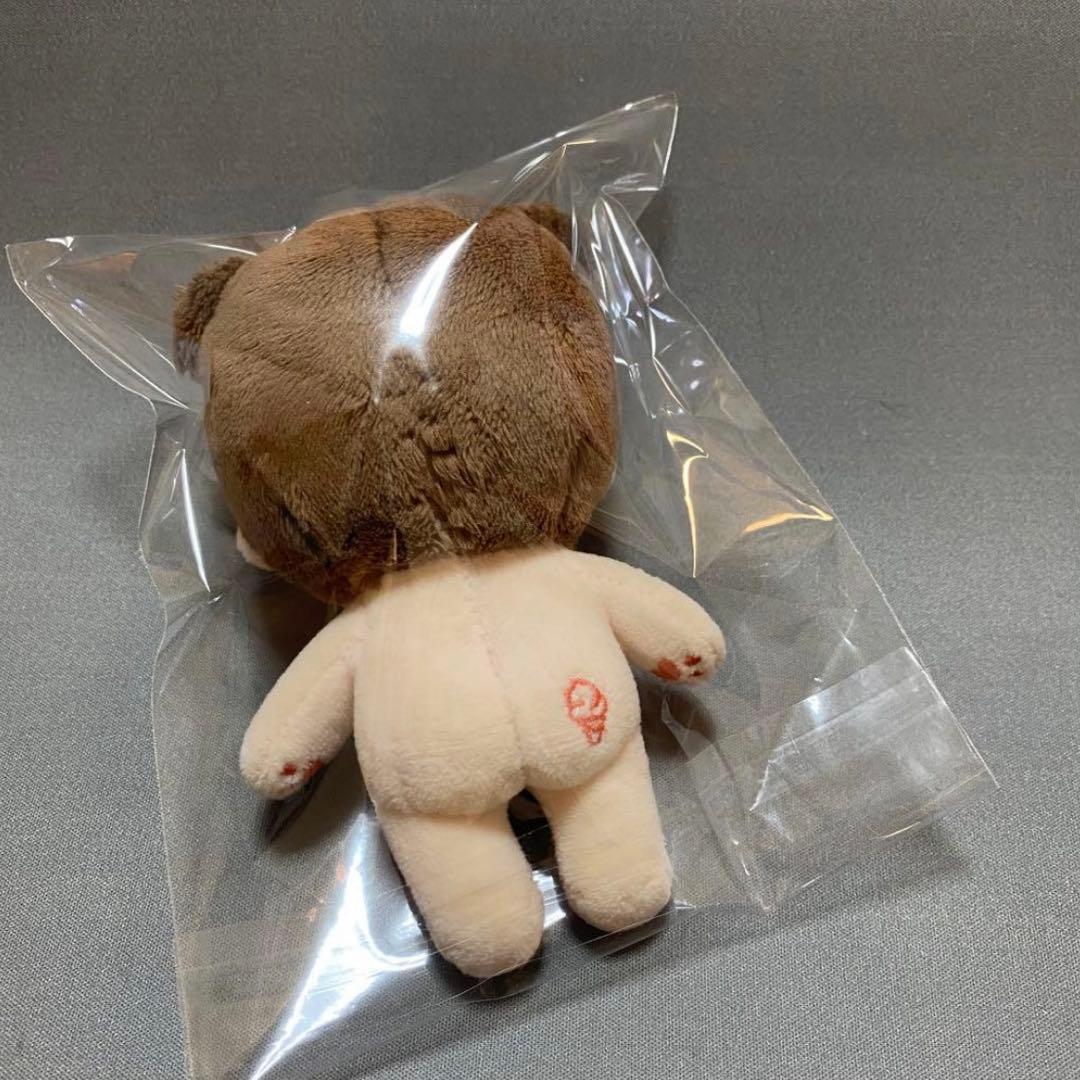 アストロ　Astro チャウヌ　ぬいぐるみ　10cm 新品　マスター