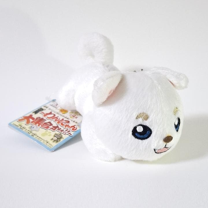 銀魂 わんにゃん大集合 銀時 桂 定春 いぬ ねこ ぬいぐるみ マスコット