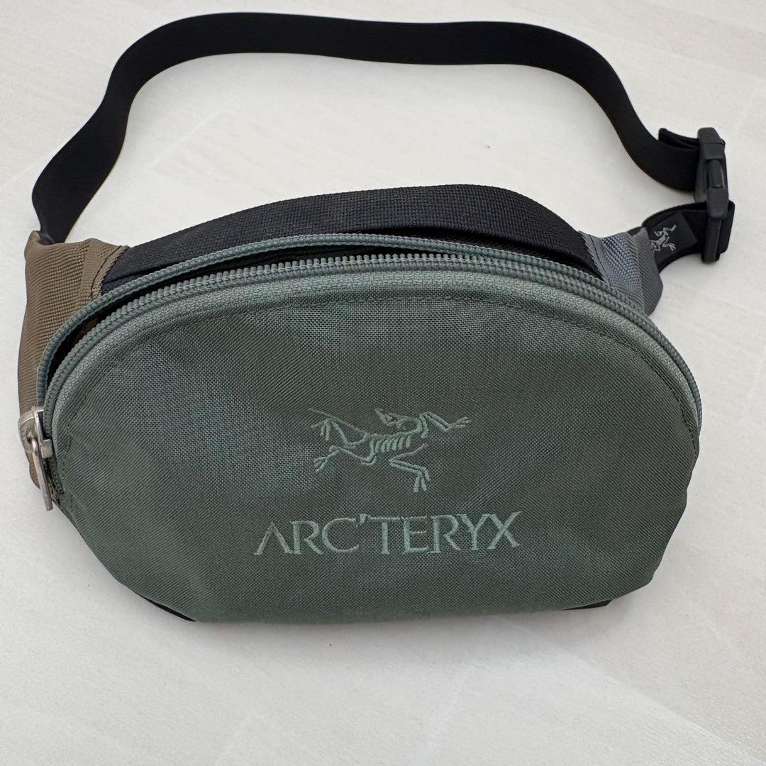 Rhacodactylus ミカドヤモリ 洋書12/15迄の限定値下価格！