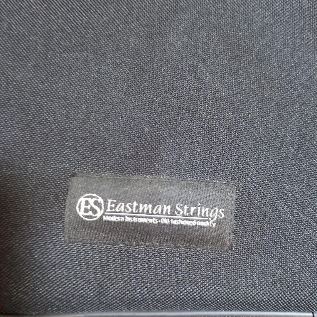 Easthman Strings2021年製 バイオリン 1/4インチ ケース付