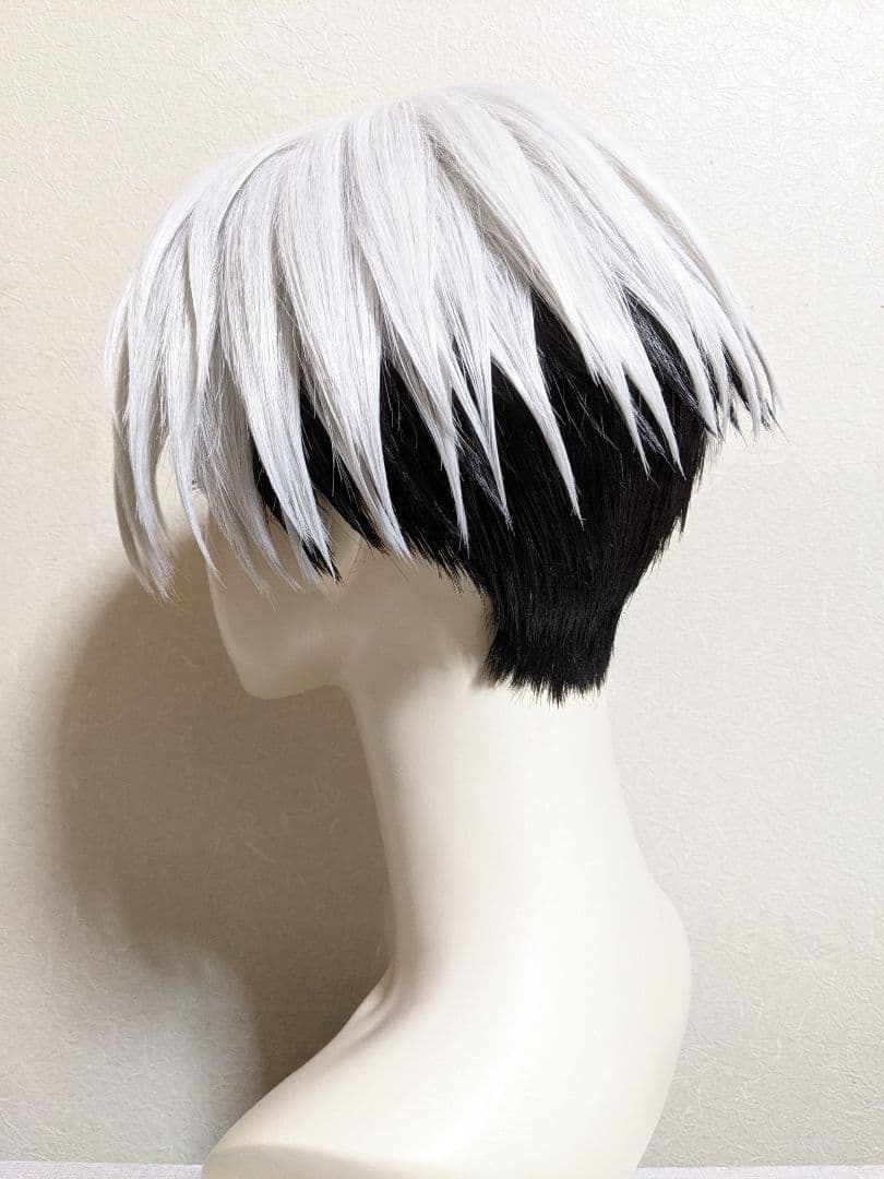 ✠草薙理解 ウィッグ✠セット済 カリスマ コスプレ