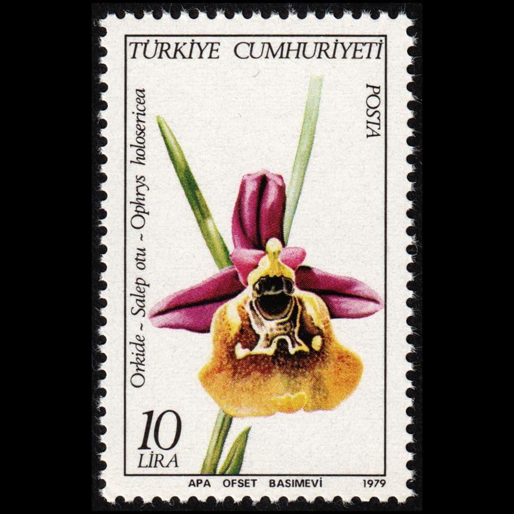 トルコの植物の切手（トルコ 1979年） - メルカリ