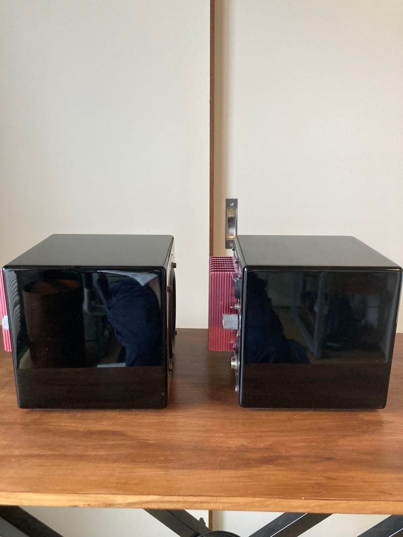 AVANTONE ACTIVE MIXCUBE ペア　115V昇圧機付き