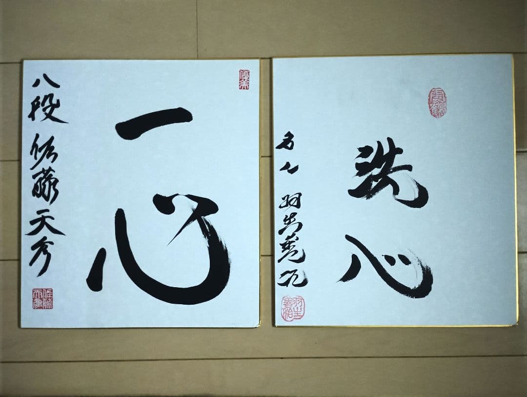 羽生善治　佐藤天彦　直筆サイン色紙 2026年最新】サイン 羽生善治の人気アイテム - メルカリ