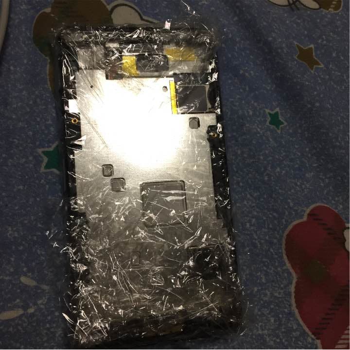 真筆】茶掛け 本来無一物◇紫野大徳寺 塔頭龍源院 東 文祥 共箱