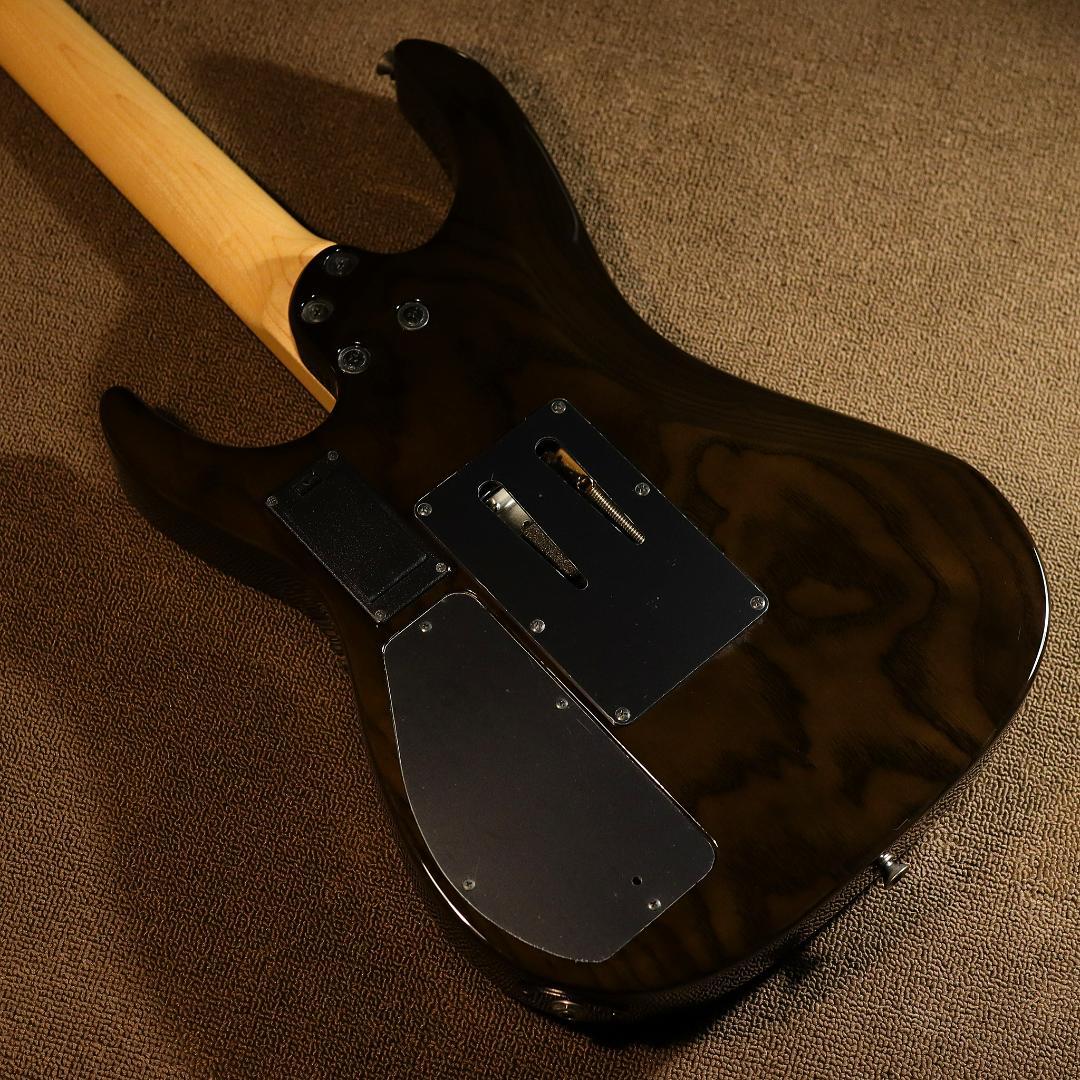 Fernandes FR-DLX JPC SBK サステイナー 2011年 - メルカリ