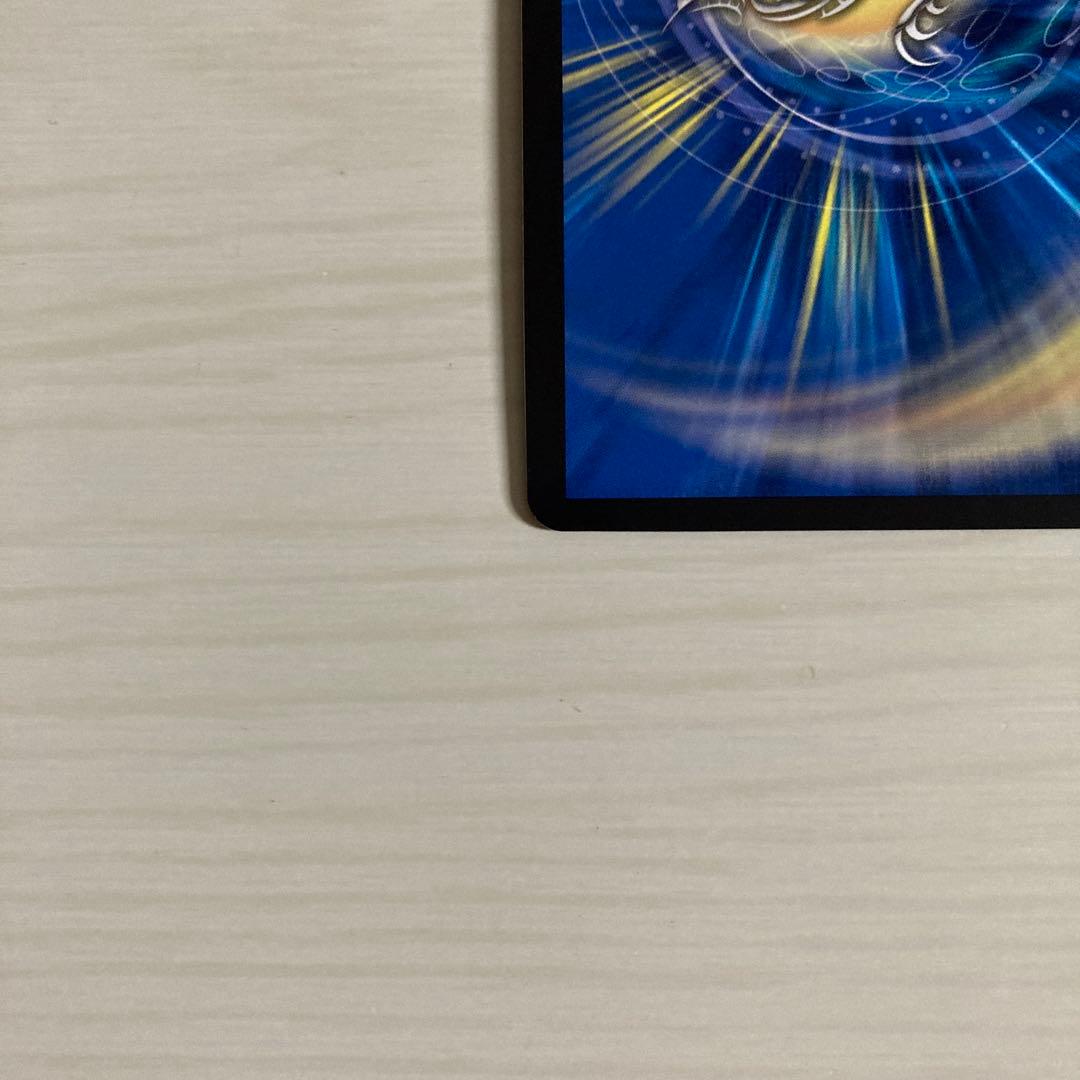 神聖龍 エモーショナル・ハードコア エモーショナルハードコア 金トレジャー