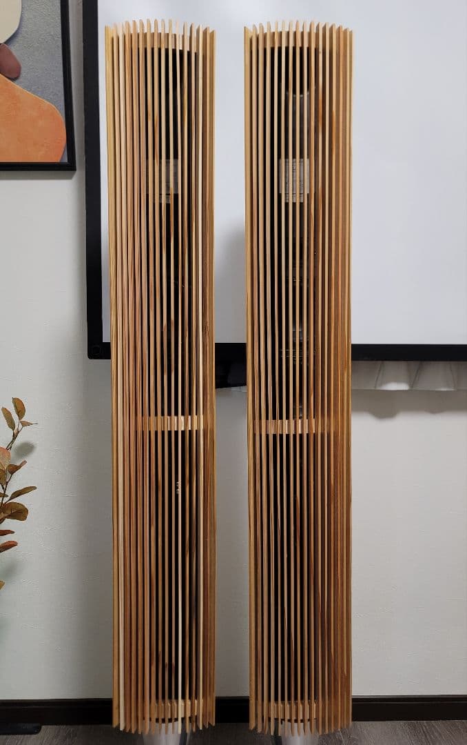 B&O バング&オルフセン BeoLab 8000 スピーカーペア天然木ケース