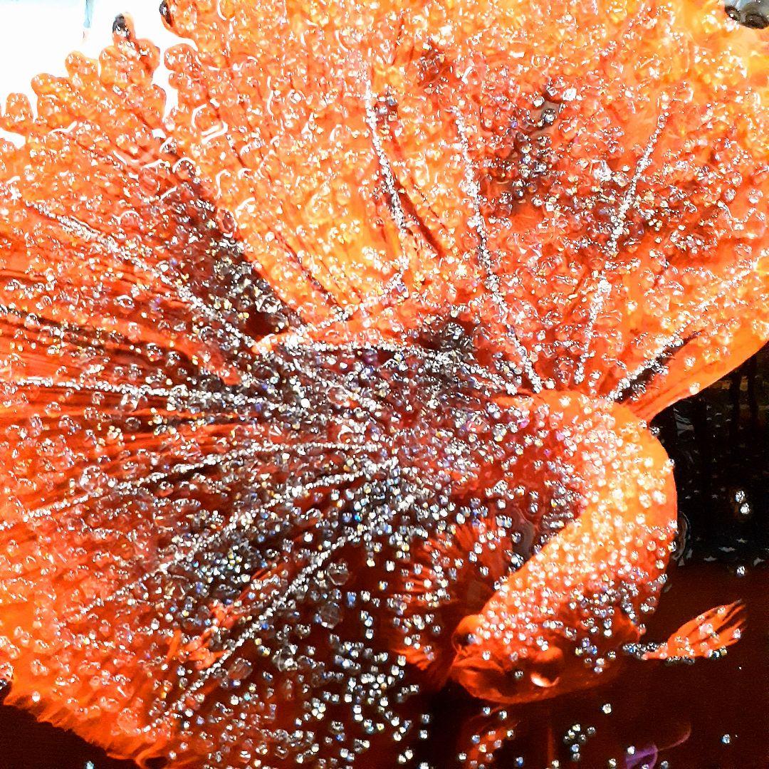 輸入雑貨 天然石 『赤い金魚』 水晶石 クリスタルアート ゴールド額縁