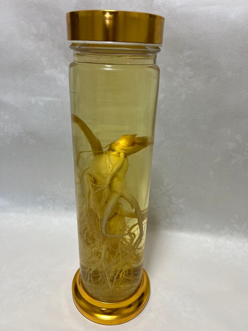 朝鮮白頭山人参古酒 薬膳酒 漢方 薬酒 健康酒 養命酒