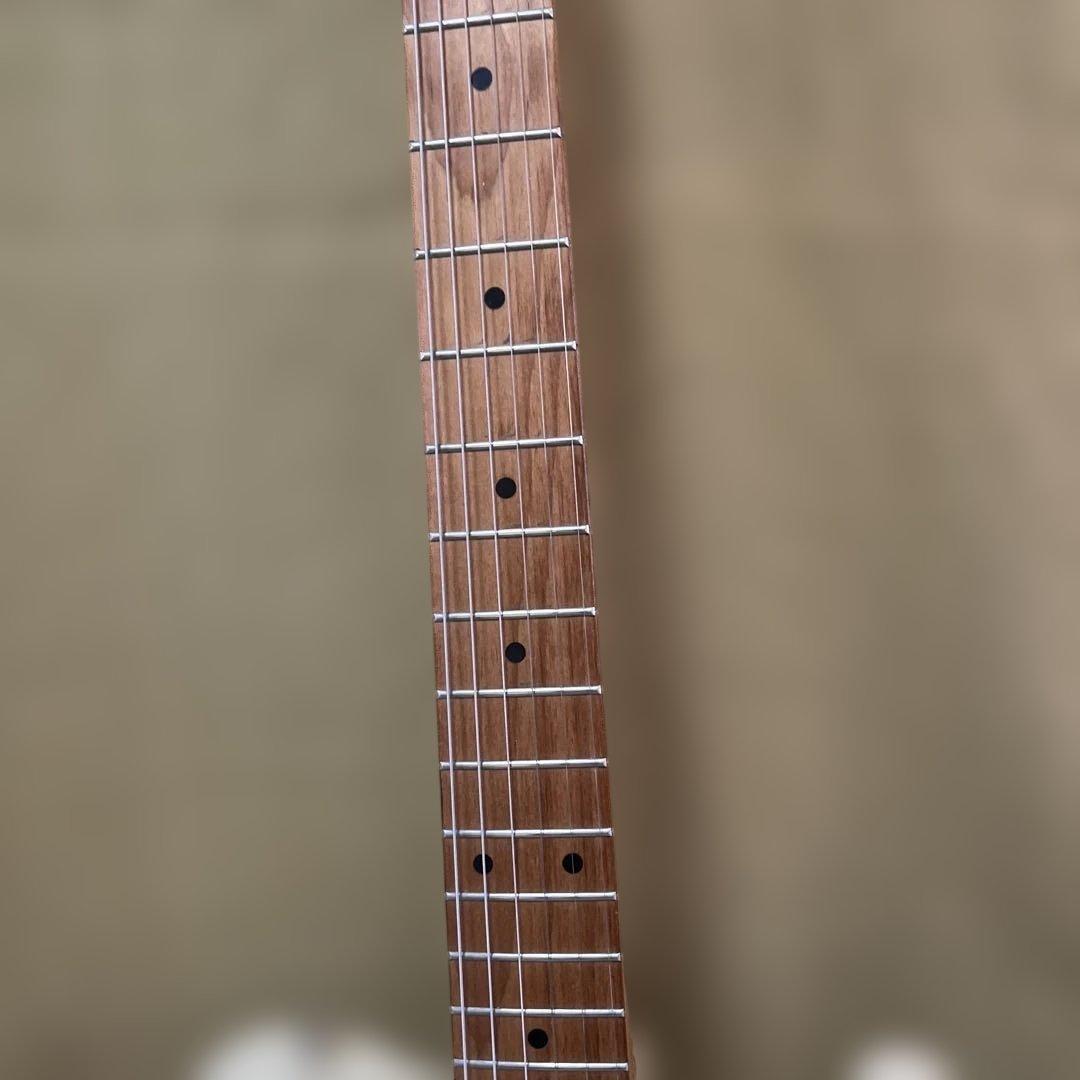 Bacchus Universe Series テレキャスタータイプ、ケース付き