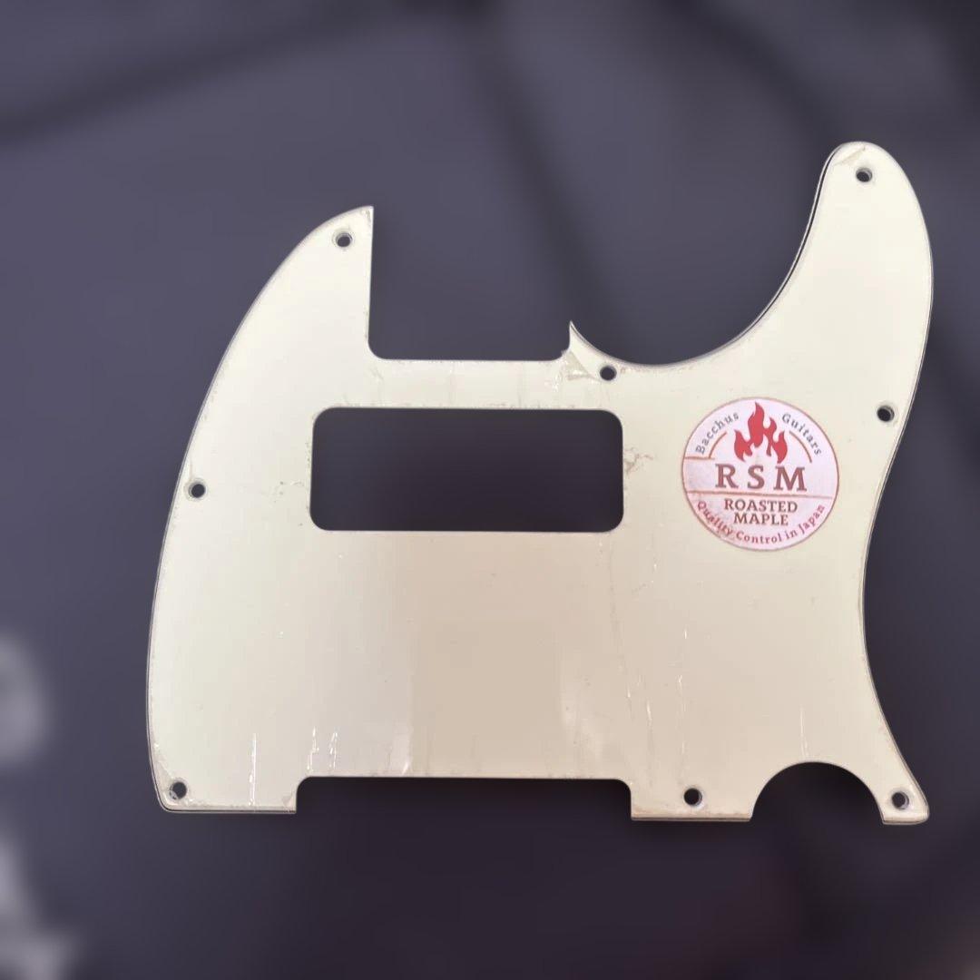 Bacchus Universe Series テレキャスタータイプ、ケース付き