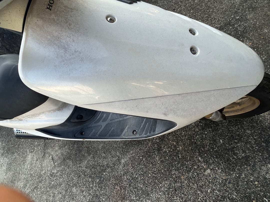 中国美術 彷古 五彩 藻草魚紋 蓋碗 乾隆款 五件 送料無料 五彩魚藻紋蓋