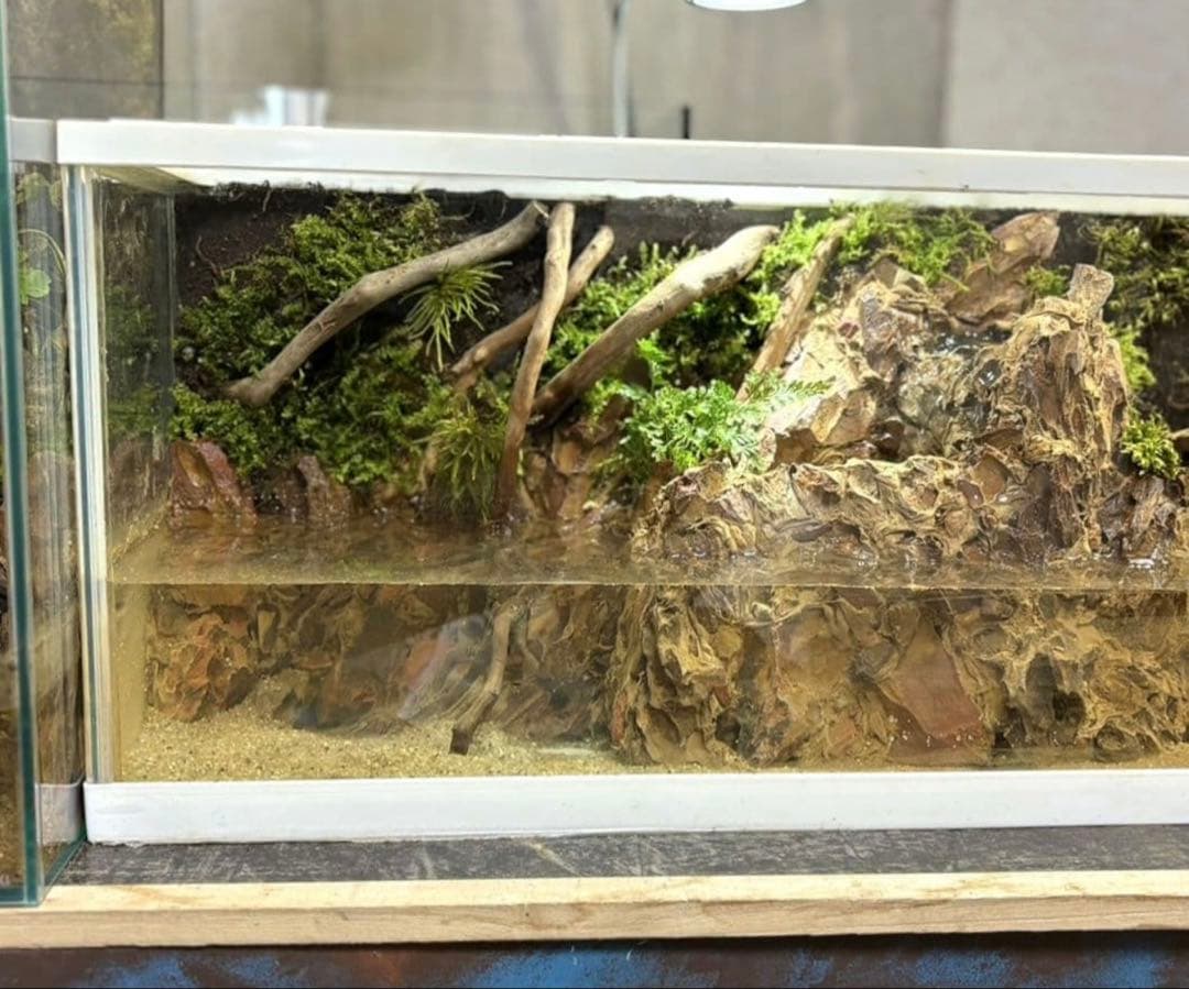 滝の流れるアクアテラリウム イモリウム