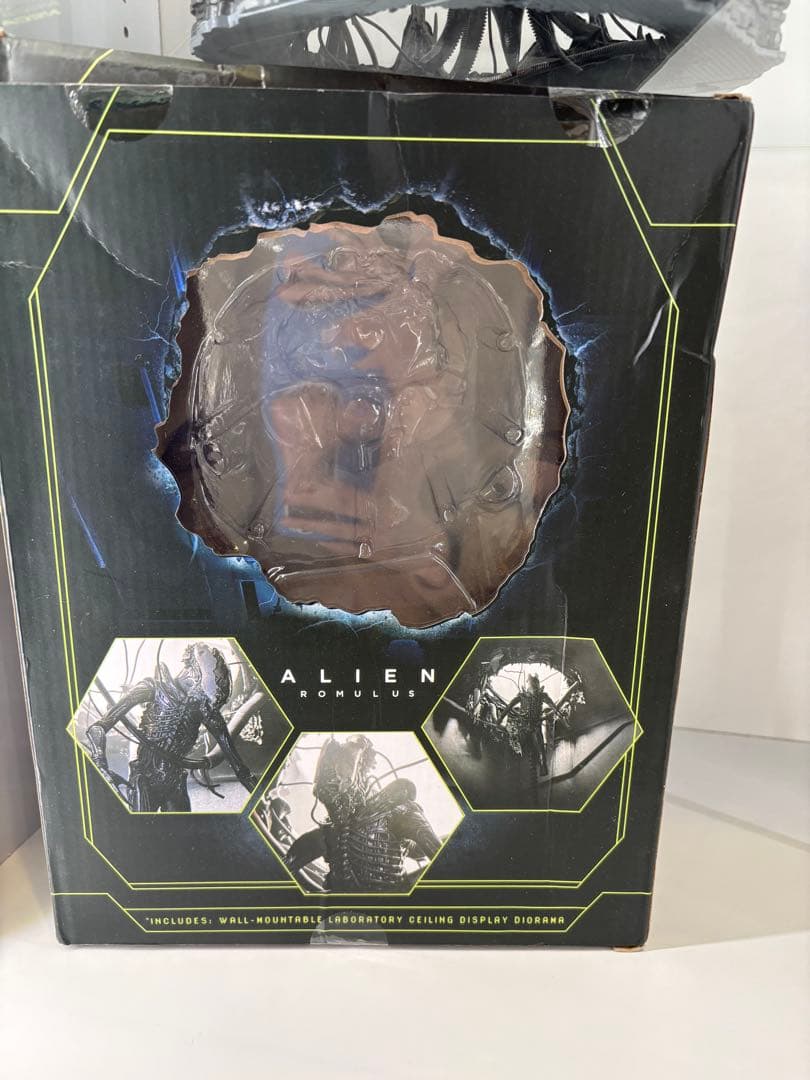 ネカ　エイリアン　ロムルス　サスペンデッド　ラボ　ゼノモーフ