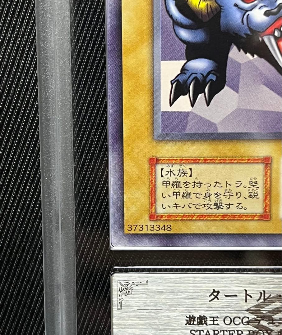 遊戯王　タートルタイガー　初期　ノーマル　ARS9