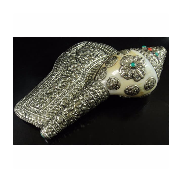 ◇チベット密教法具 法螺貝（シャンカ）