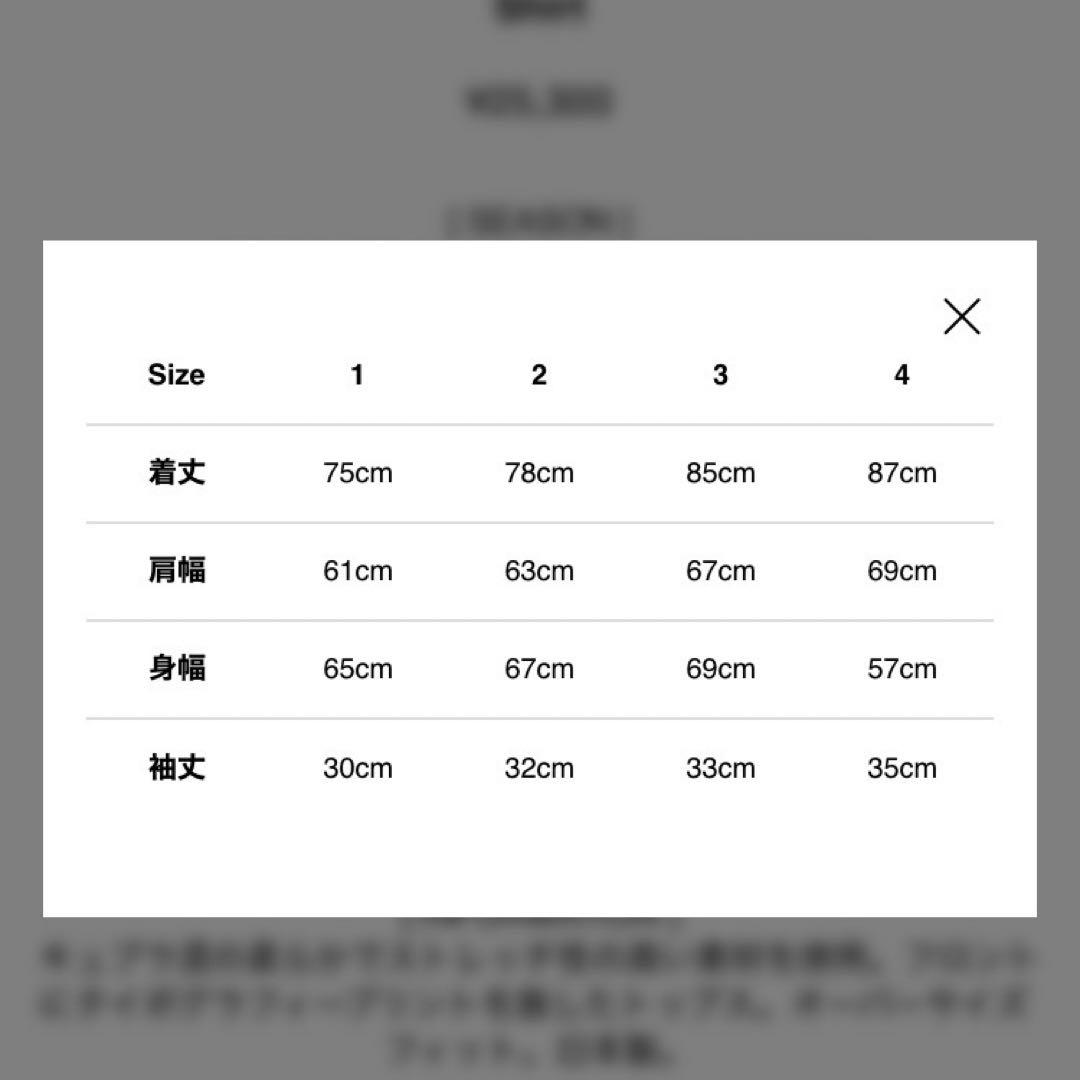 JULIUS オーバーサイズカットソー ash purple - トップス新品