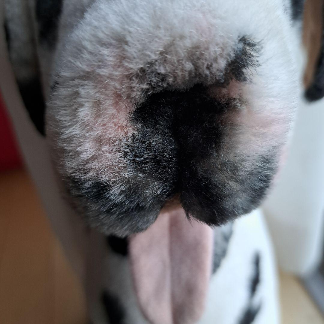 特大ぬいぐるみ　ダルメシアン　犬　インテリア　置物　実寸　コレクション