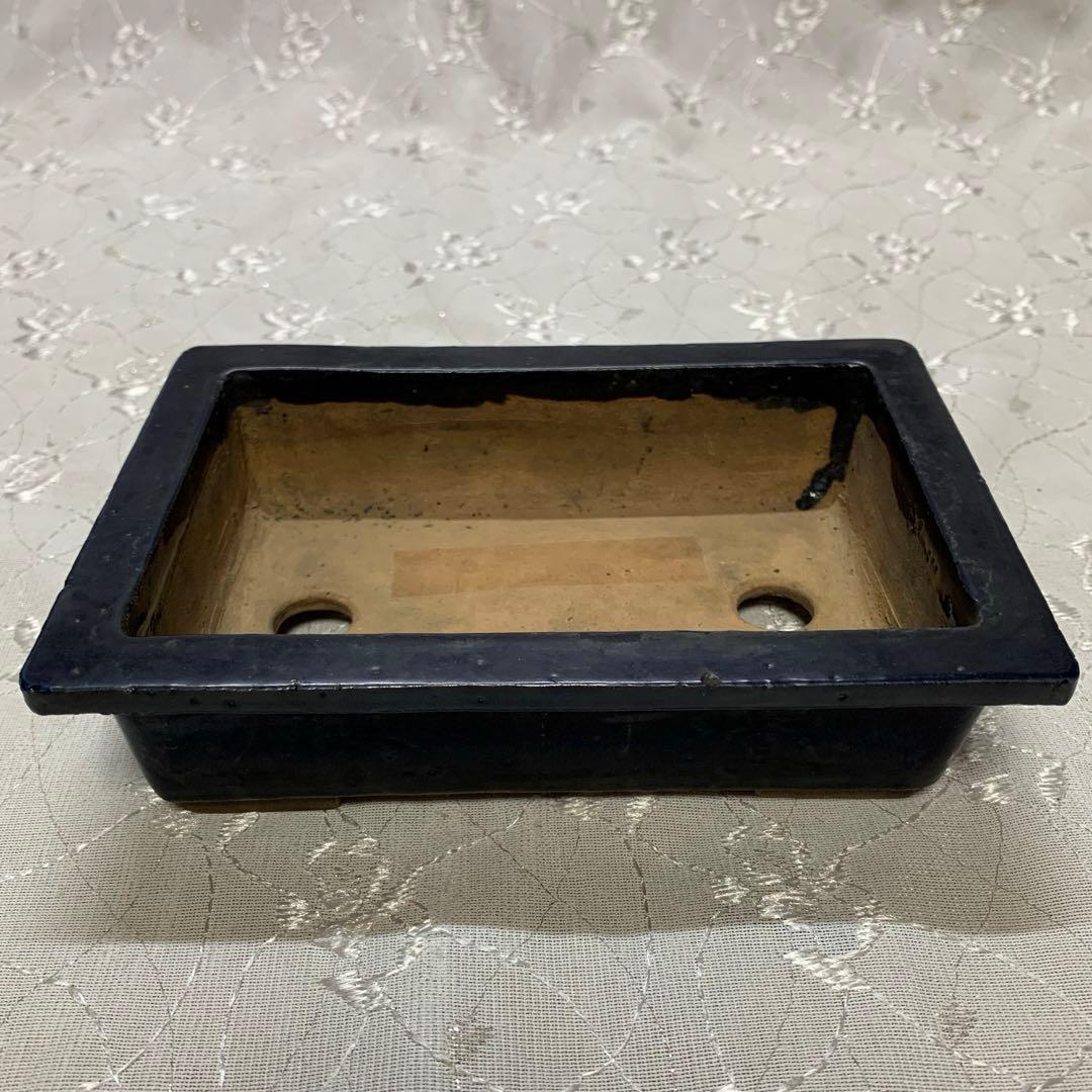 東福寺 長方 盆栽鉢