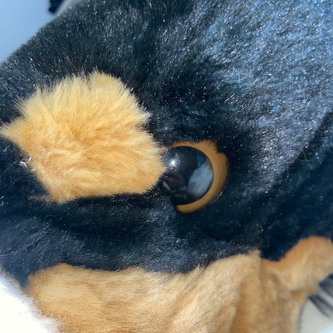 バーニーズ・マウンテン・ドッグ　ぬいぐるみ