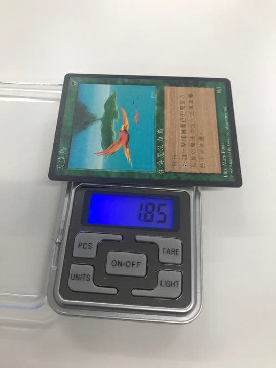 MTG 極楽鳥 4版 中国語 黒枠 繁体字