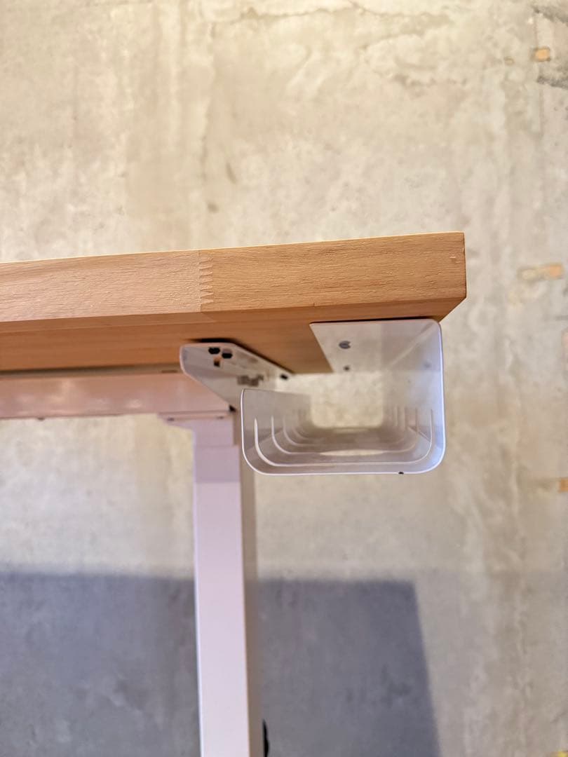 FLEXISPOT 電動昇降デスク EF1W-JA栗集成材天板 120x61cm