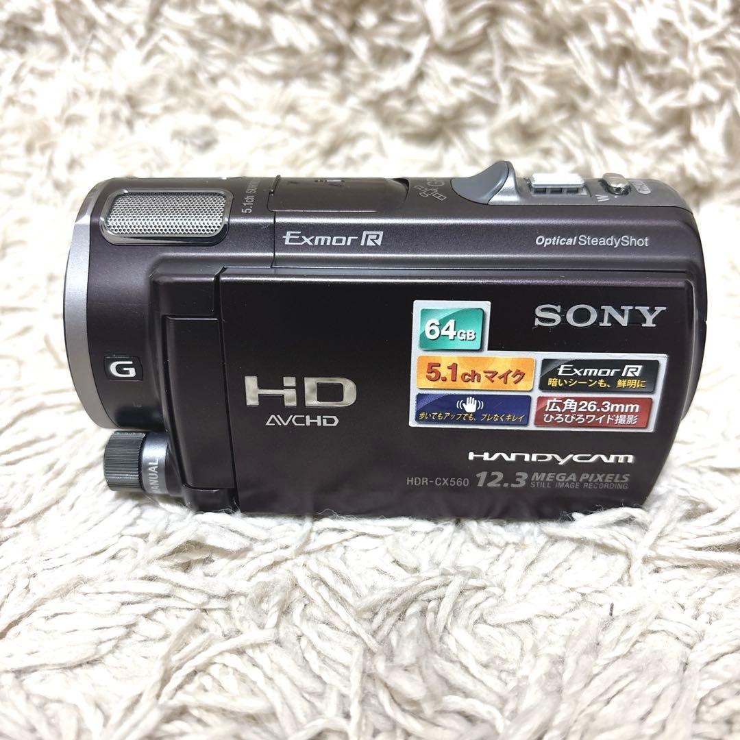 【極希少】SONY Handycam HDR-CX560v NP-FV100付き