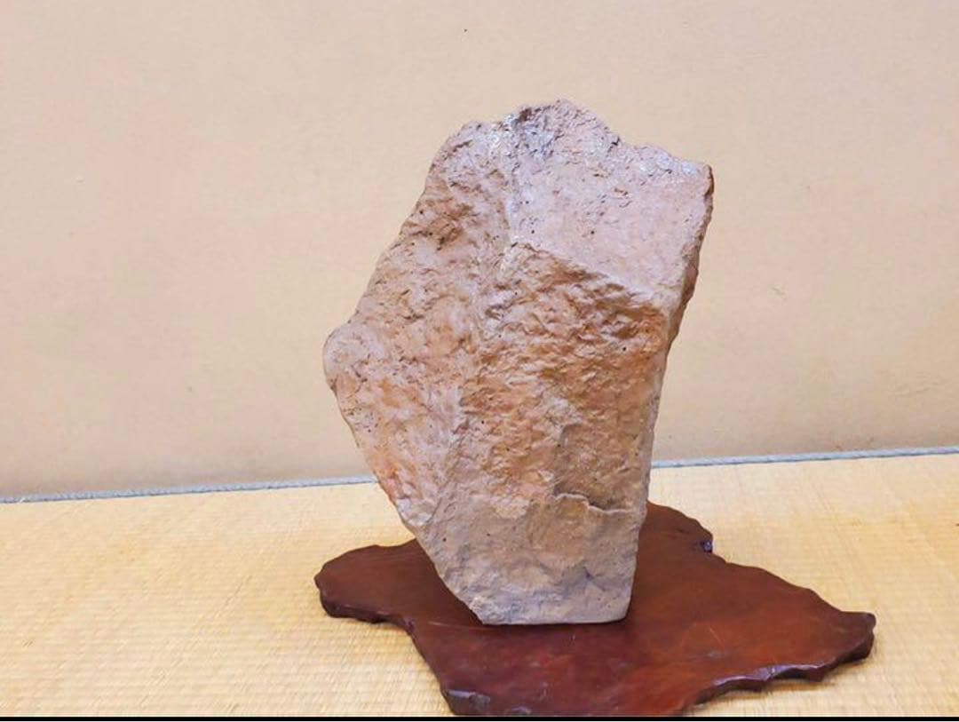 No122）山野草 水草 鉢 龍聖作 令6 山野草鉢 龍聖作