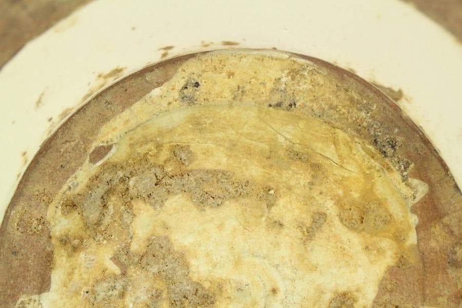 中国美術 磁州窯 十世紀後半 白磁掻落鳳紋水注 瓶 高23cm (LC248)