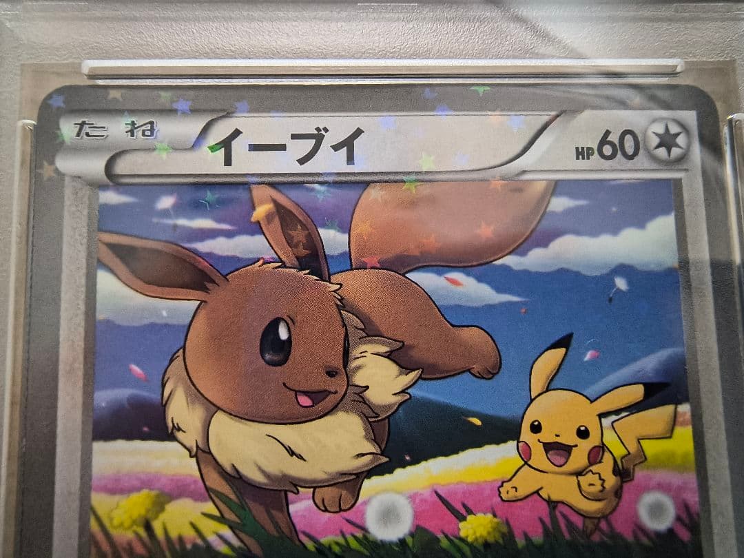 【PSA5/6/7】イーブイ PROMO プロモ 235/BW-P　3枚セット