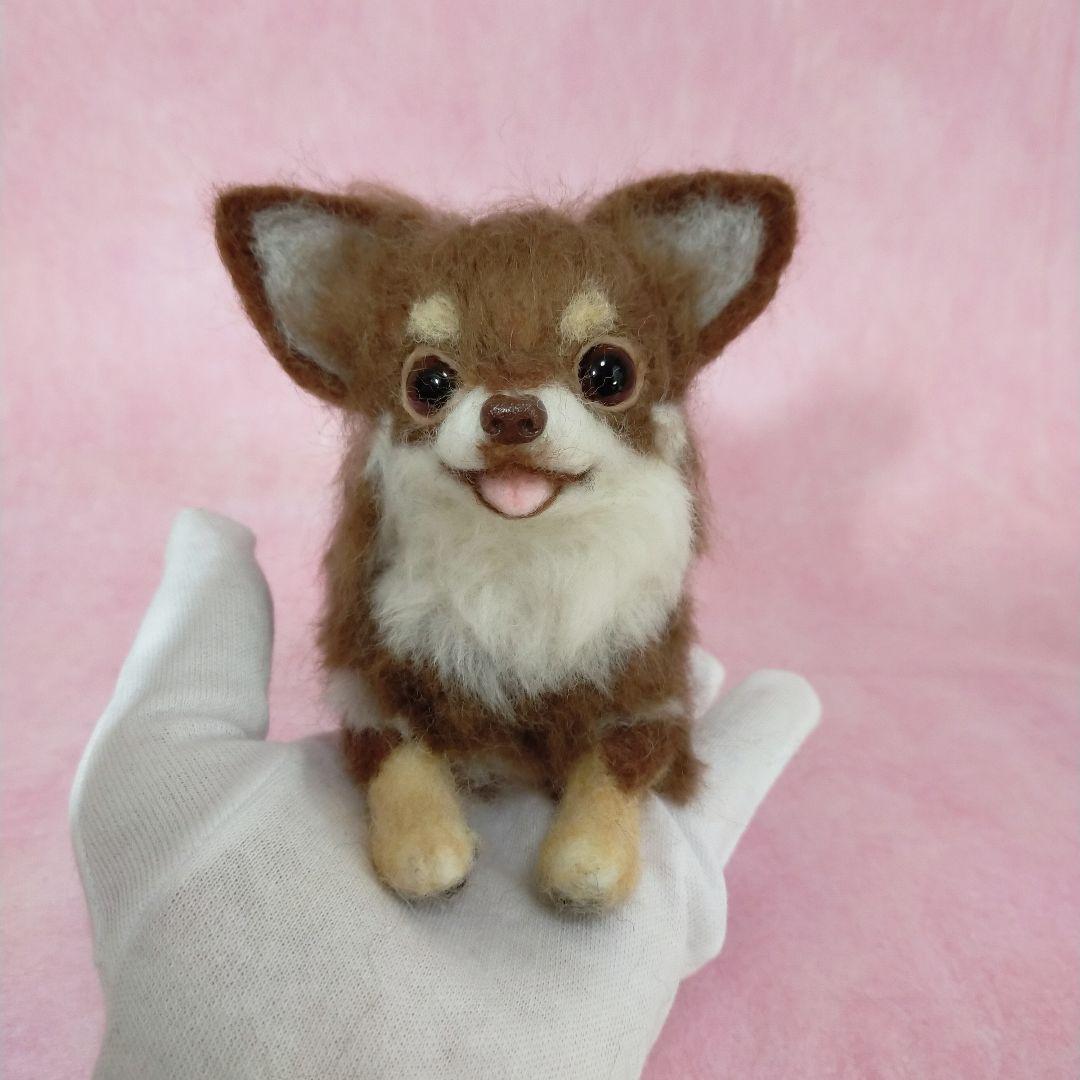 チョコタンチワワ羊毛