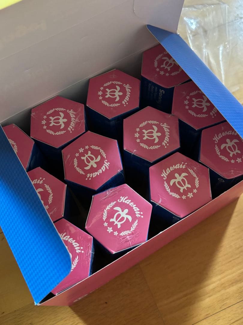 未開封　ソニーエンジェル　ハワイ