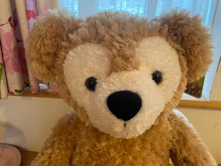 ピオフィオーレの晩鐘 ショップ ぬいぐるみ アンリ