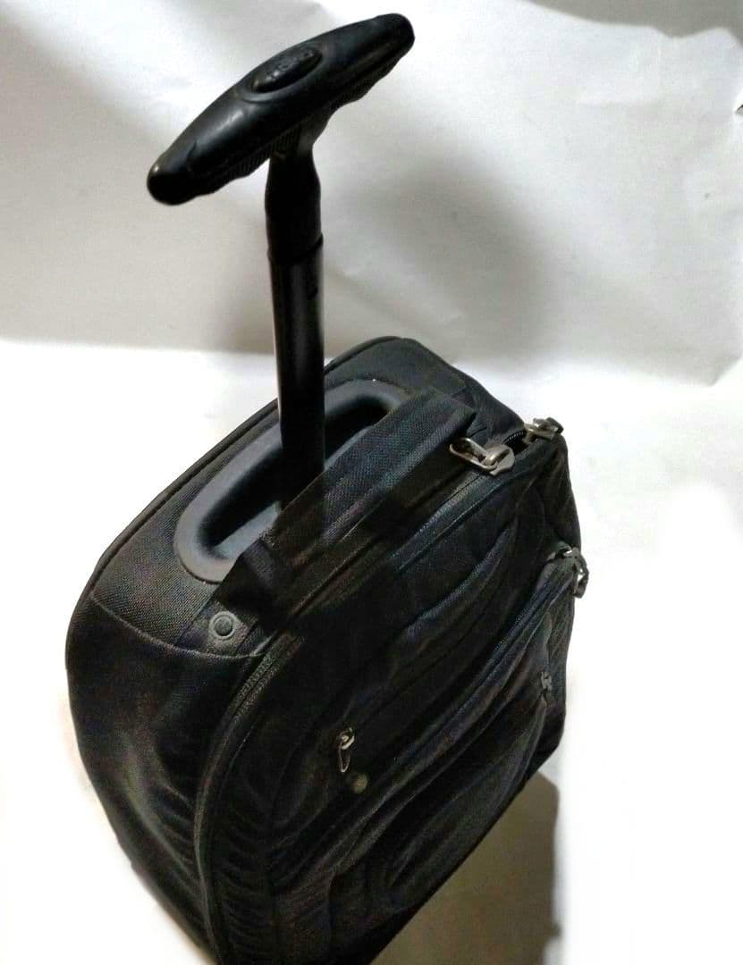 レア廃盤ヴィンテージ】 パタゴニア キャリー＆リュック 2way 機内