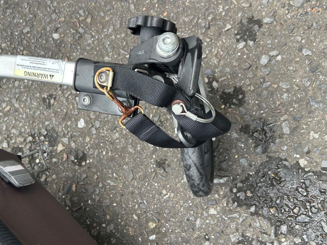 //直接引取限定// Burley Honey Bee