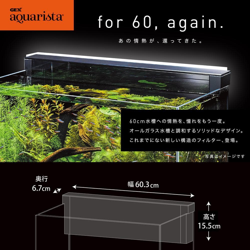 ジェックス グラステリア TS600－GC グラスカスタムセット水槽