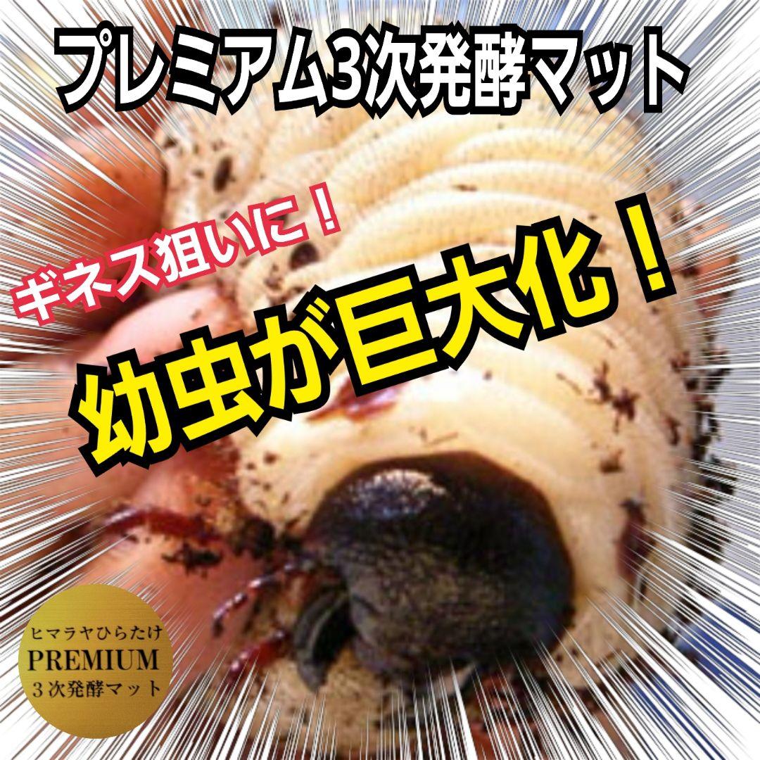 カブトムシ幼虫が巨大化！プレミアム3次発酵マット【200リットル】産卵