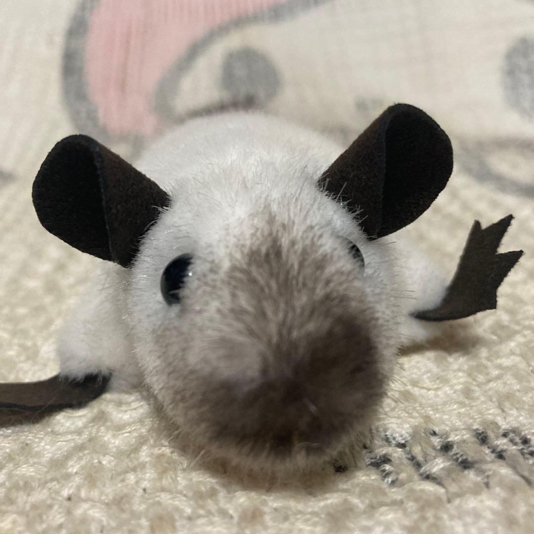 ケーセン Koesen ぬいぐるみ サイアミーズラット　中古品