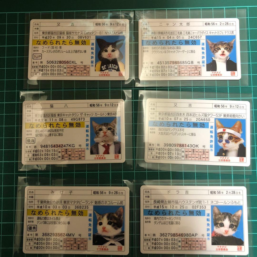 なめ猫免許証セット 6枚 - メルカリ