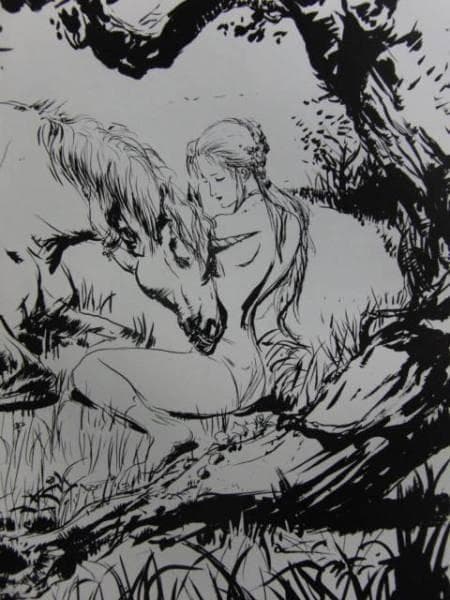 天野　喜孝、ファーラムの剣、希少な画集より、新品額装付、状態良好