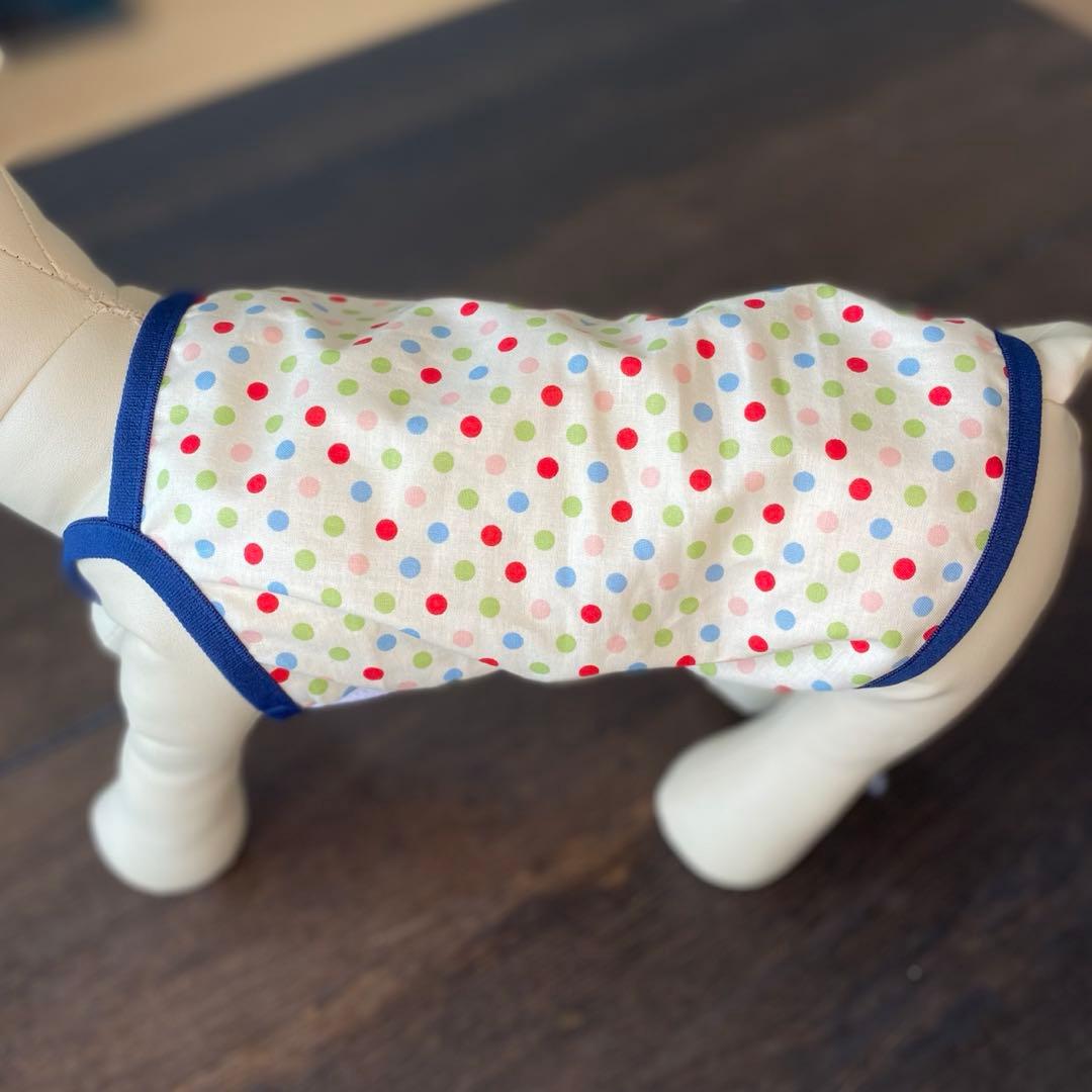犬服 ハンドメイド 濡らしてひんやり♪カラフルドットのワンピース