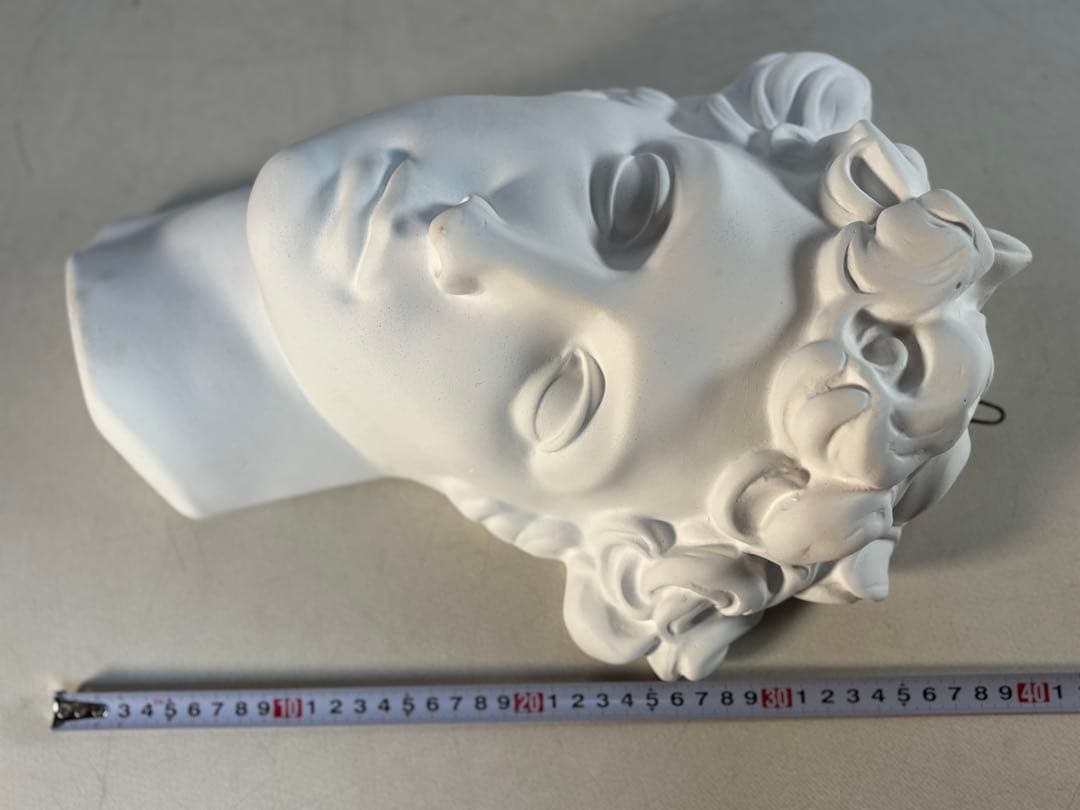 石膏像 メディチ デッサン 半面像 美術 絵画 オブジェ 彫刻 アート