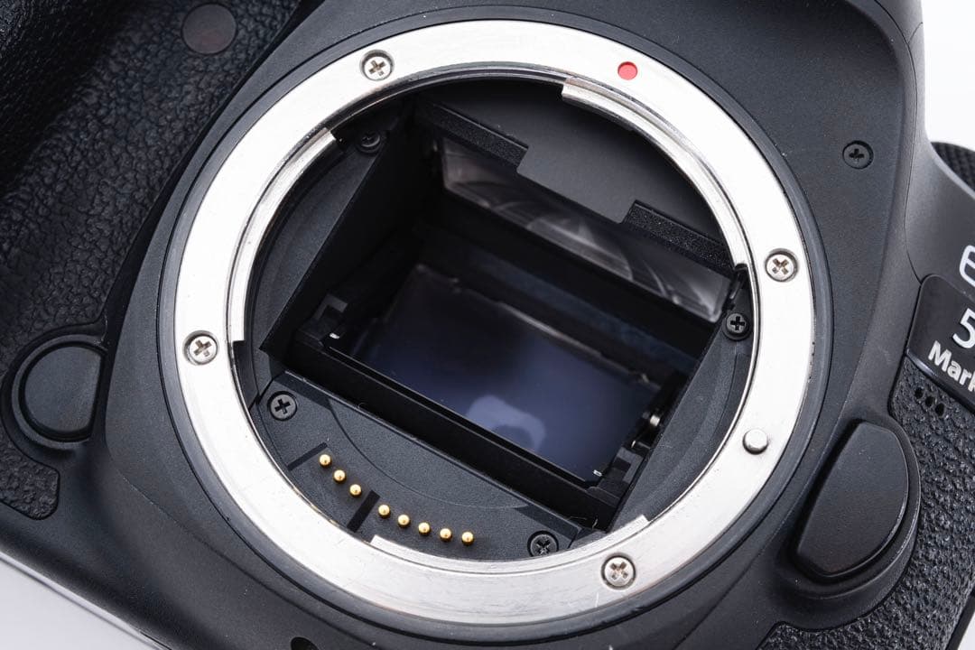 キャノン Canon EOS 5D Mark IV 標準&望遠ダブルレンズセットの通販は