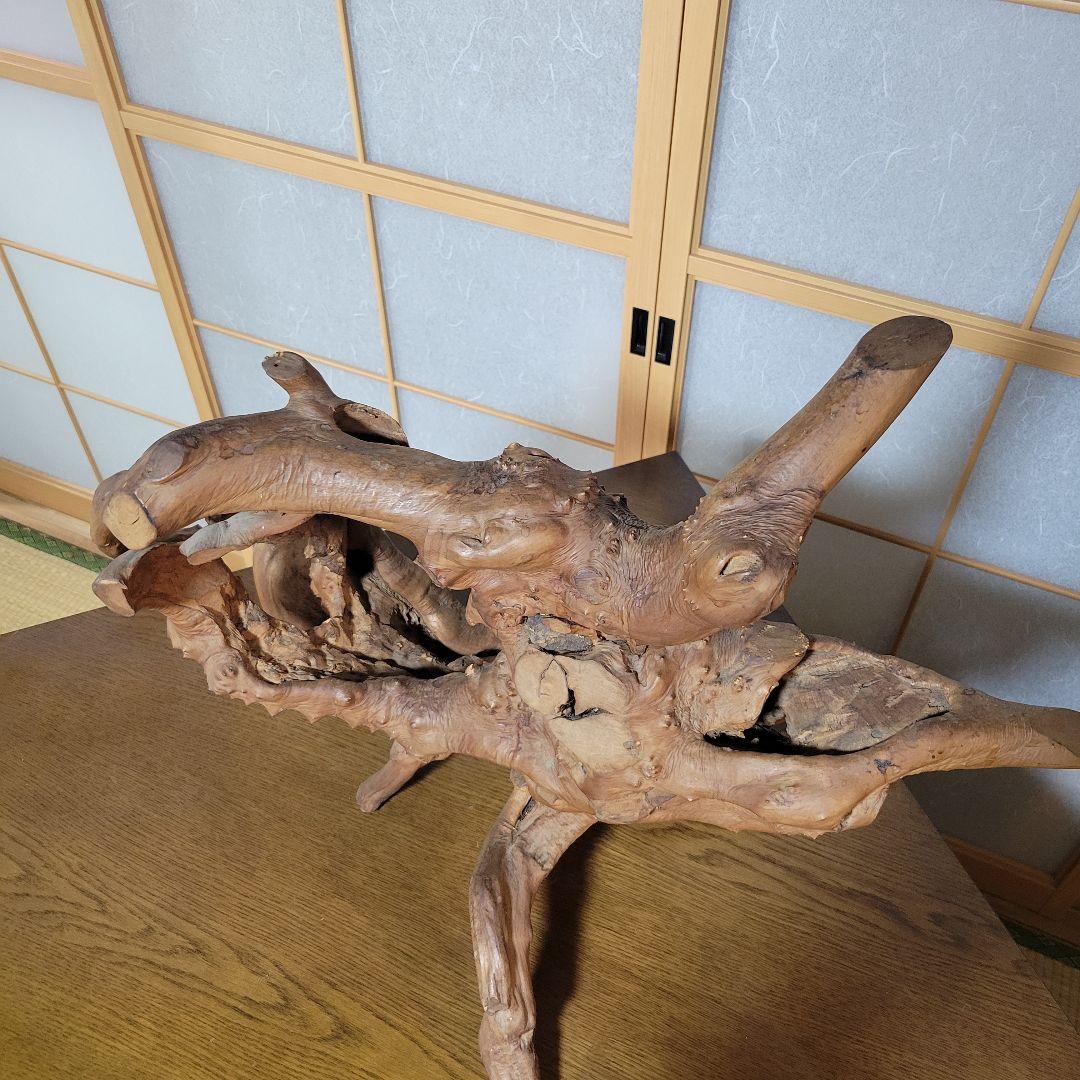 自然木 天然木 木根瘤造形 木根工芸 オブジェ