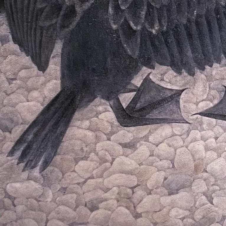 斎藤満栄、【鵜】、希少な額装用画集より、新品額装付、状態良好